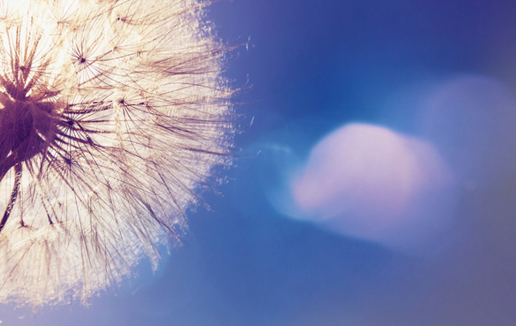 腾博会官网·专业效劳,诚信为本